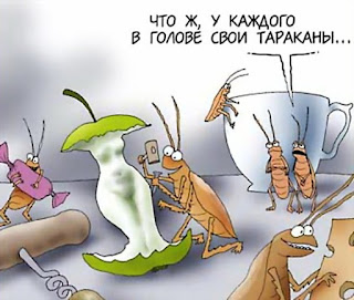 Чего боятся тараканы? Рекомендации и советы, Праздничный мир Чего боятся тараканы? Рекомендации и советы, Праздничный мир
