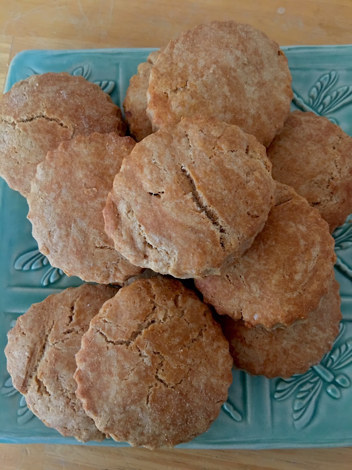 To Market, To Market with San Diego Foodstuff Sourdough (Discard) Biscuits