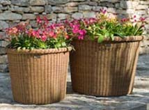 Botanic Pots