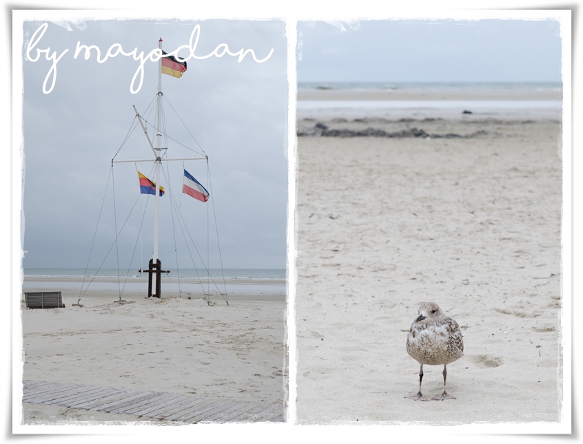 Schmelli Online Mein Wohnmobil Geocaching Und Ich