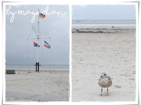 Kurzurlaub auf der wunderschönen Nordseeinsel Amrum