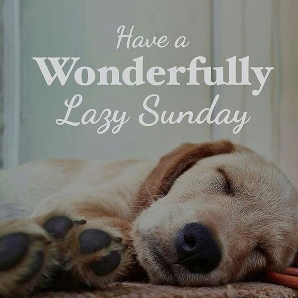 100+ Happy Sunday Quotes, Images, Wishes That Will Inspire You To Success