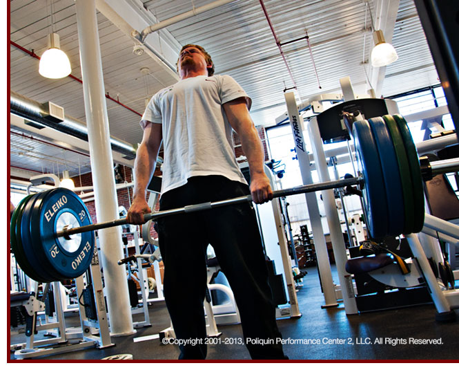 axelmaxwell Muscle Builders For Horses Bodybuilding Diet 10 Fast