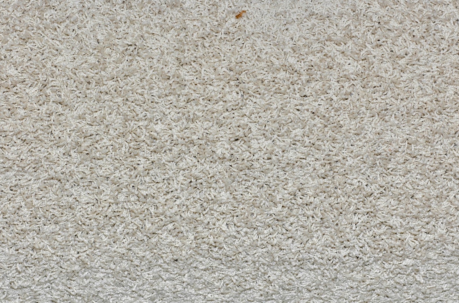 Carpet Bump Map