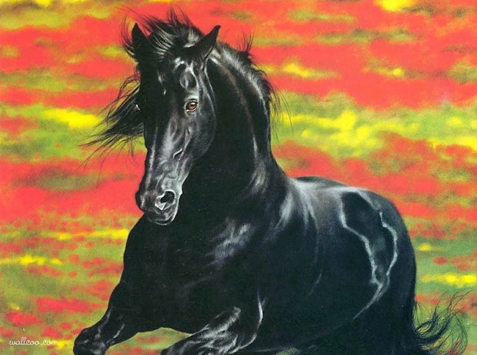 Конь мой вороной. Лесли Харрисон художник. Лесли Харрисон картины пастелью. Лошади Лесли Харрисон. Лошадь Мустанг иноходец.
