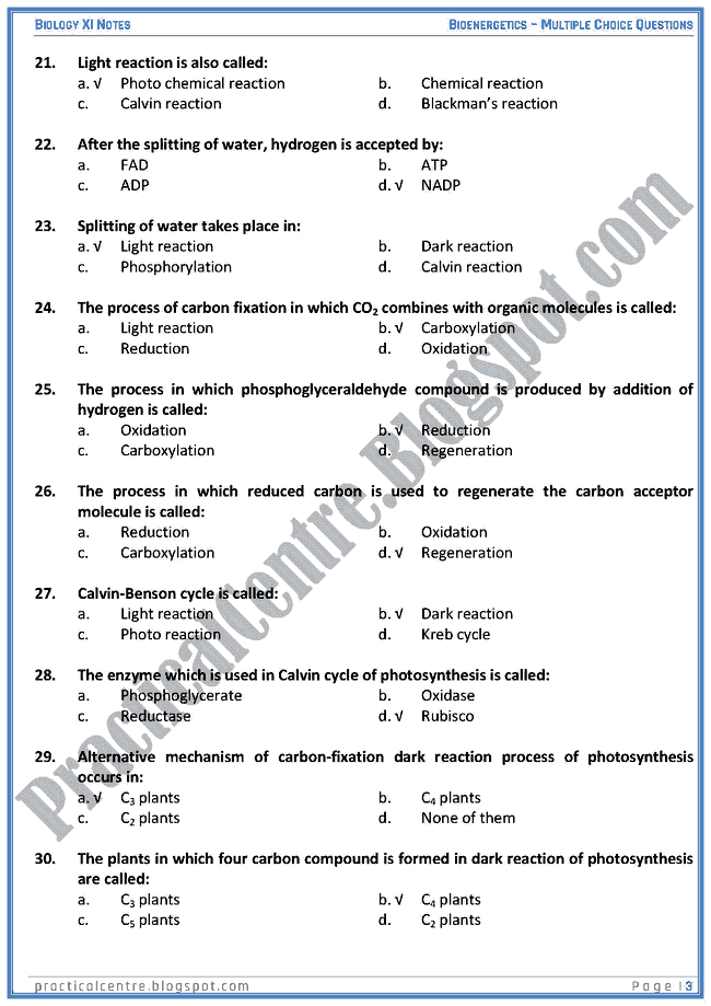 Bioenergetics - Multiple Choice Questions (MCQs) - Biology XI