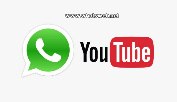 Whatsapp videos