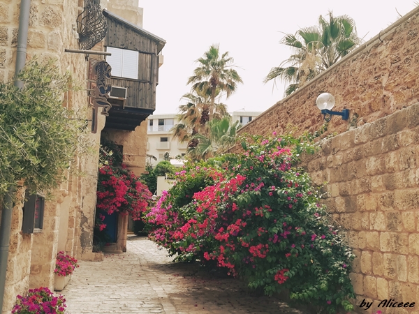 Old-Jaffa-Tel-Aviv-Impresii-obiective-turistice