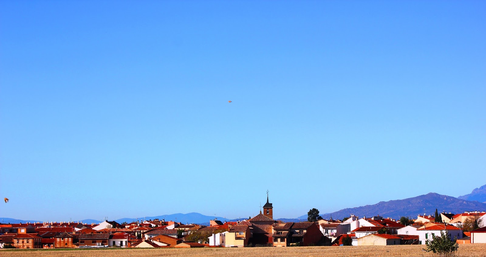 Toni Álvarranz Historia de 