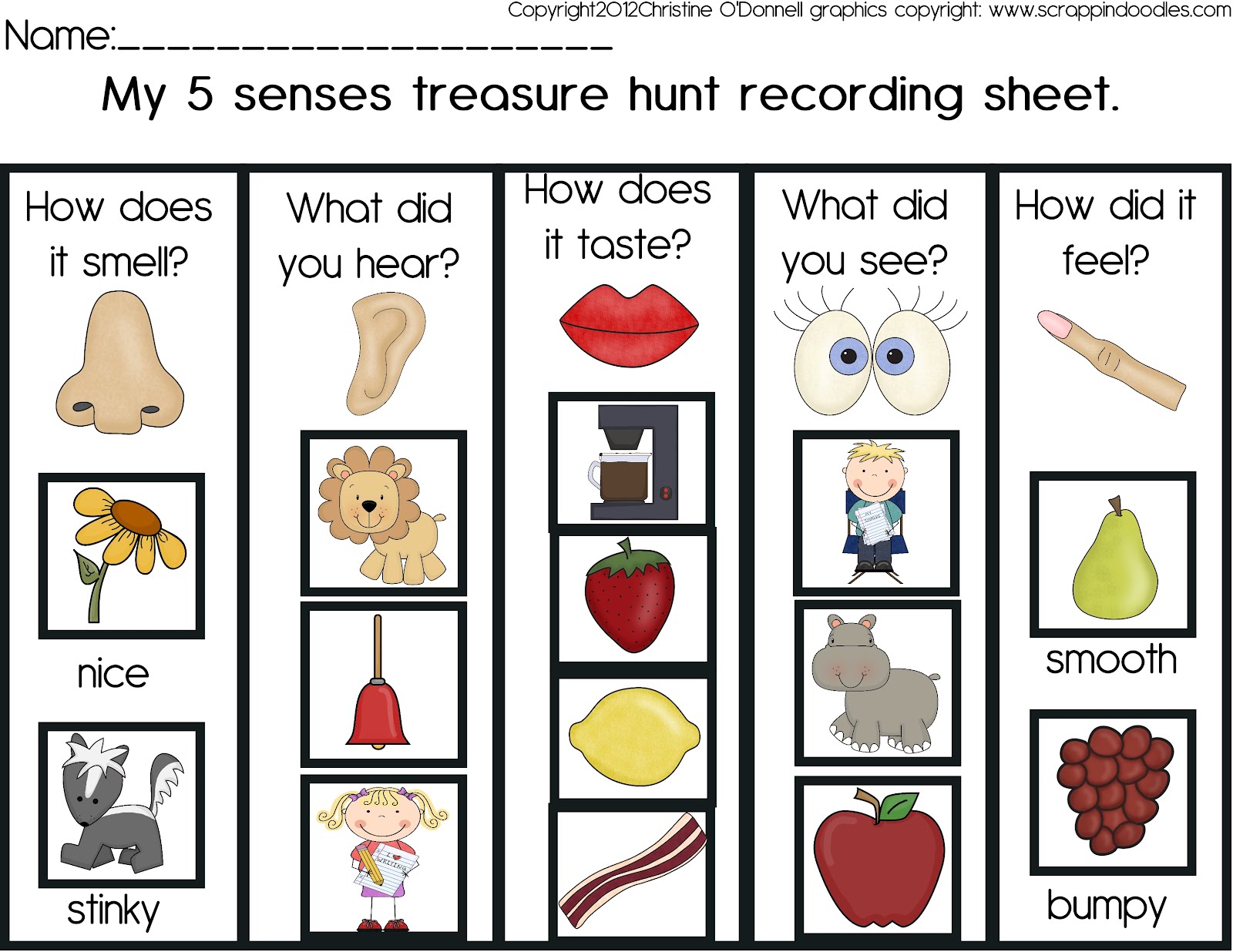 5 senses treasure hunt and a freebie!