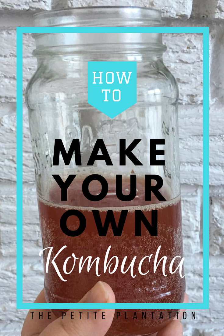 Make Your Own Kombucha The Petite Plantation