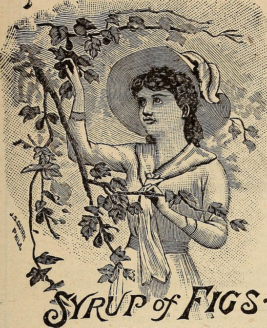 Flying the Hedge Apothecary Syrup of Figs