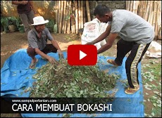 Video : 2 Menit bisa ahli buat Bokashi