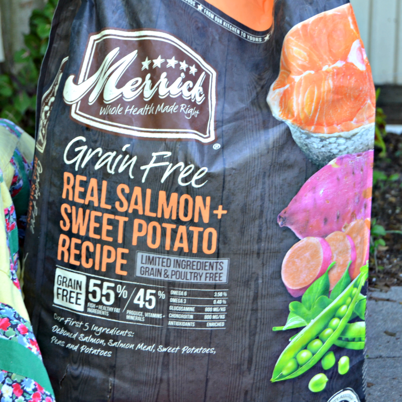 Having Lunch With the BestDogEver Win a Year's Supply of Merrick Dog