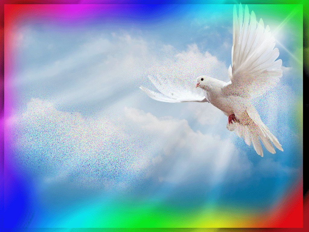 Песнь святому духу. Голуби в небе. Голубь летит. С днем Святого духа. Голуби анимация.