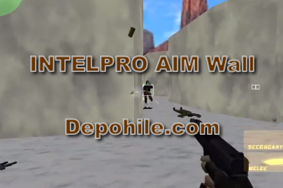 Counter Strike 1.6 Intelpro Aimbot,Wall Hilesi İndir Her Sunucu