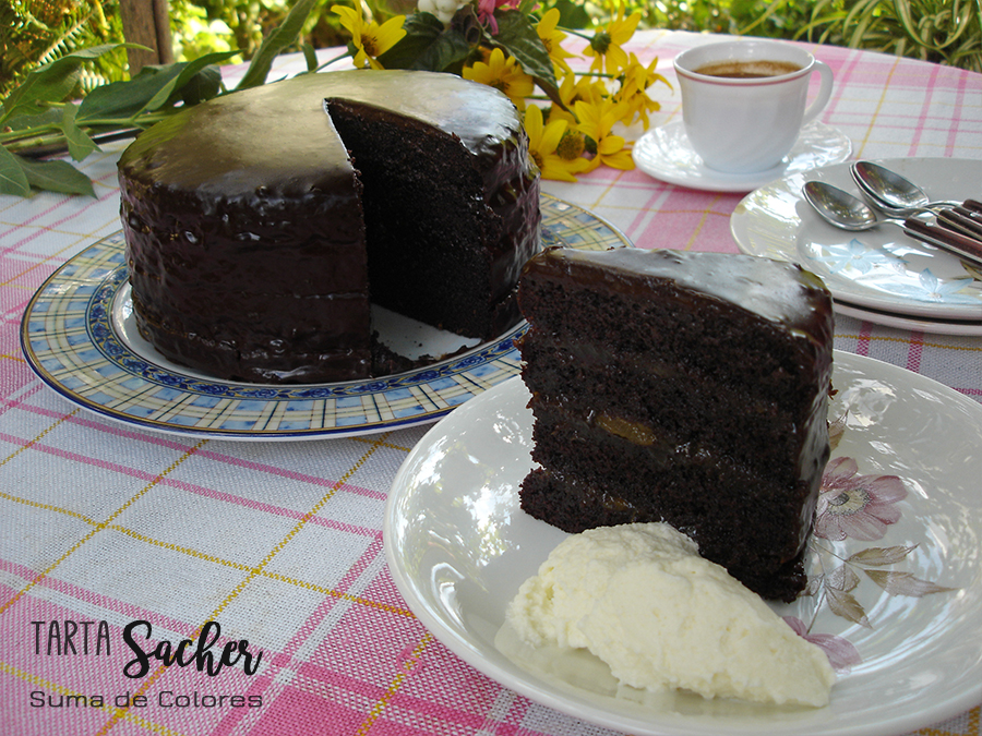 Sacher-04