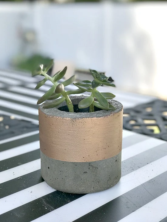 DIY Metallic succulent planter