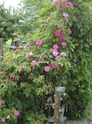 "Roses on the Arbor", by Jean Smith