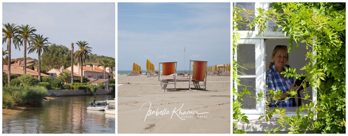 Review Forever By Maggie Stiefvater