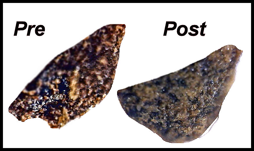 Don Schaeffer's Photos and Art Fine Coffee Grounds Pre and Post Brewing