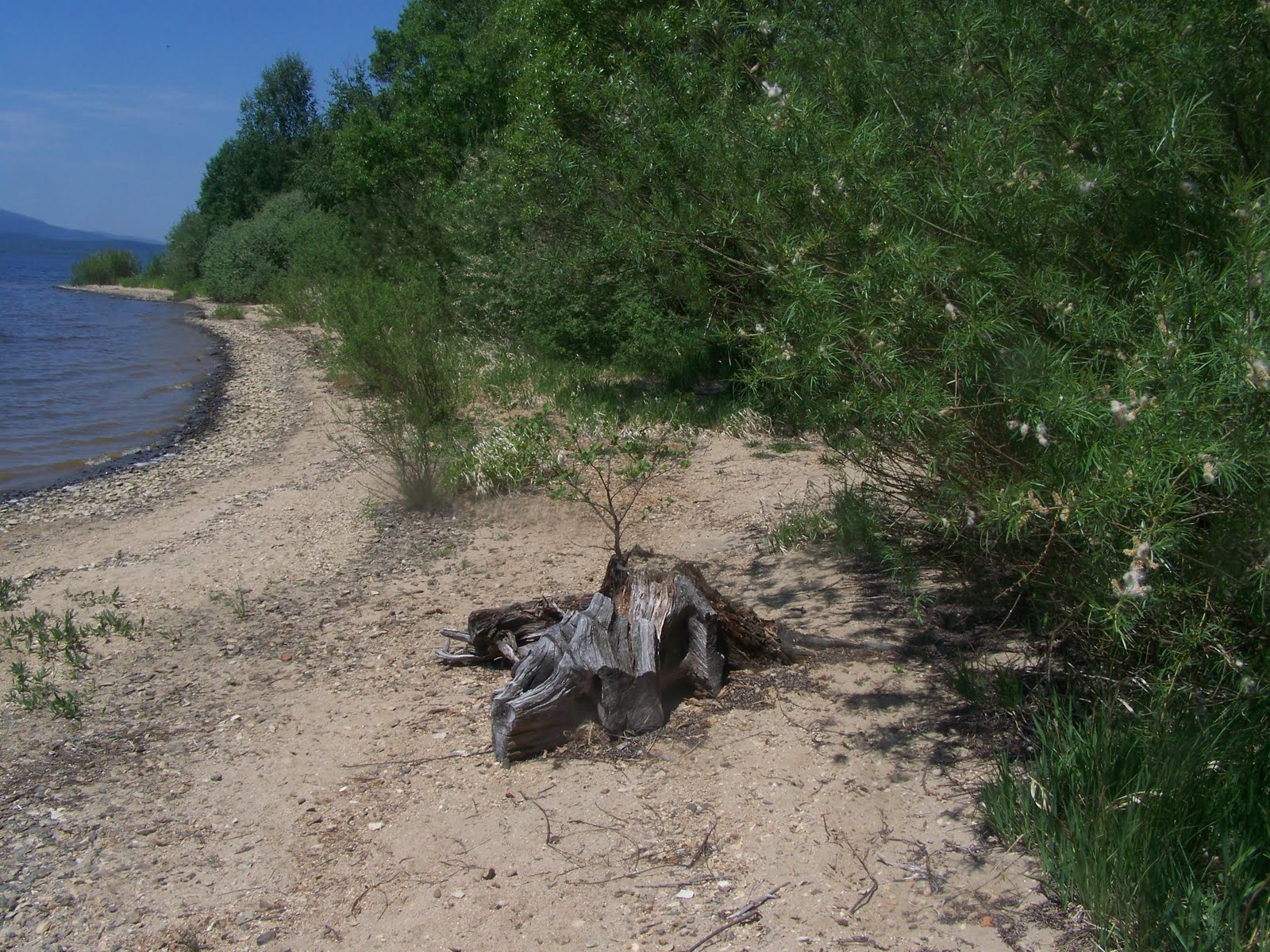 LEBENSTAGE/WALDVIERTELTAGE: Juni 2011