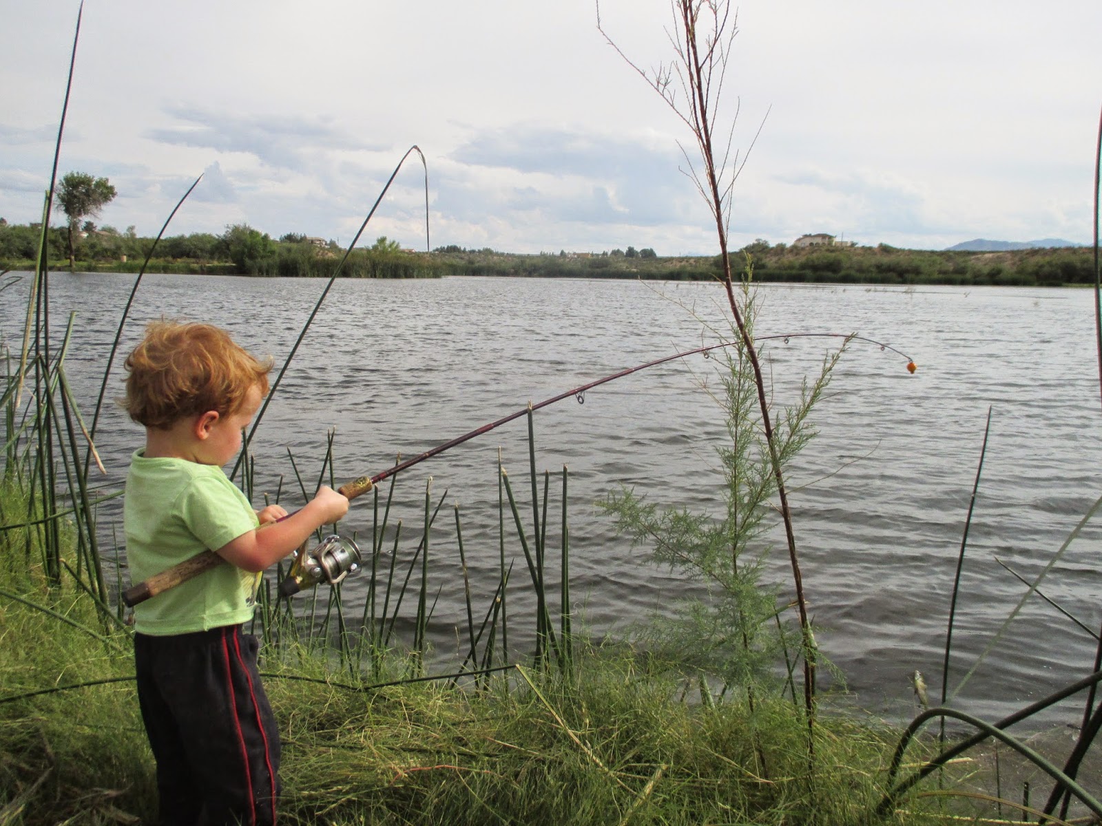 Backyard Excursions Fishing at Dankworth Pond State Park