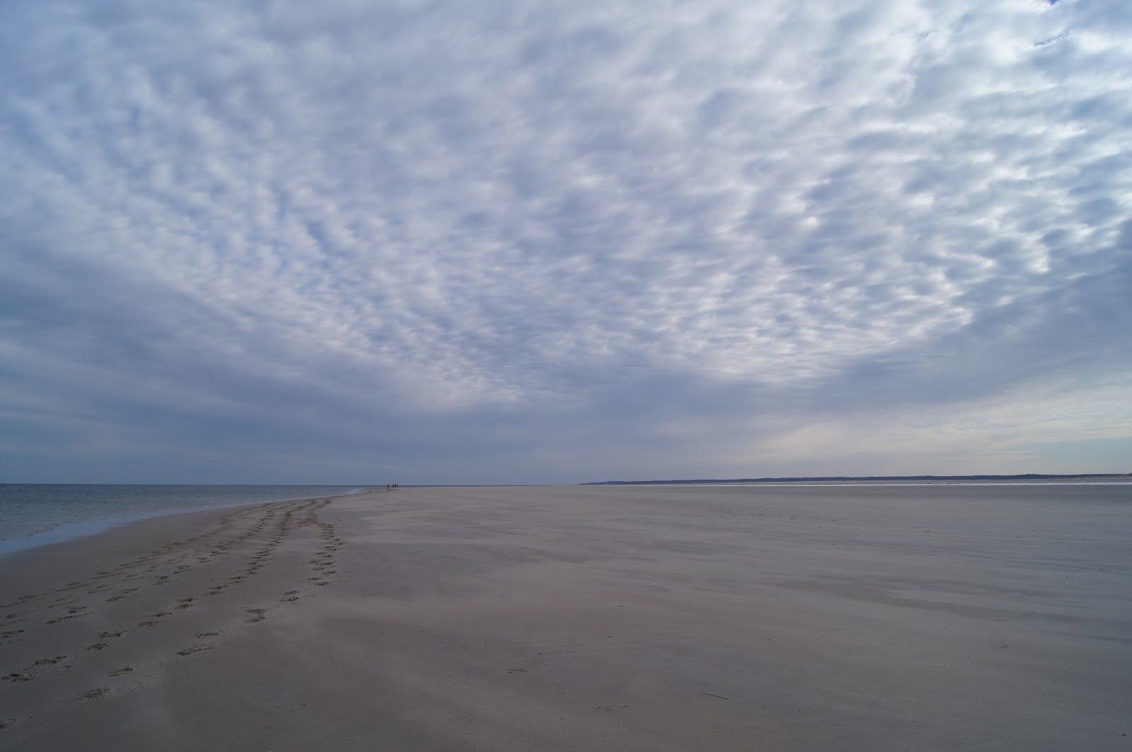 Things with Wings Crane Beach, Ipswich, MA