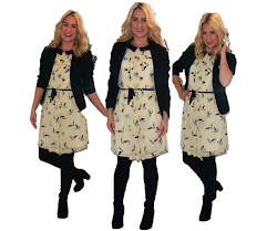 helsinki dragonfly birds