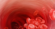 Показатели крови при гемолитической анемии thumbnail