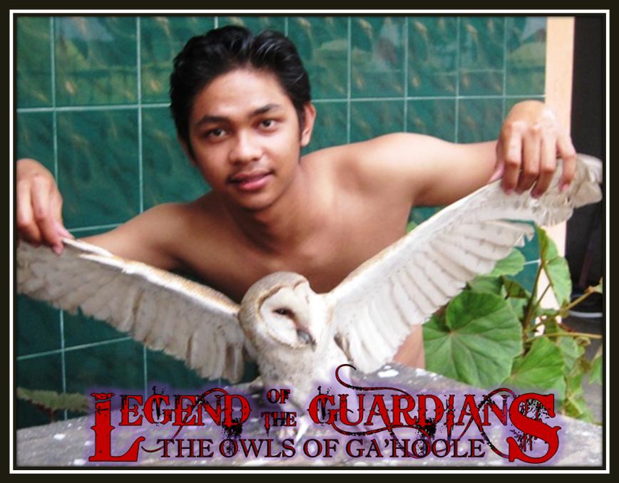 Hobi Kita Purbalingga Melawan Hama Tikus Dengan Burung Barn Owl