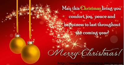 Very Special Christmas Greetings