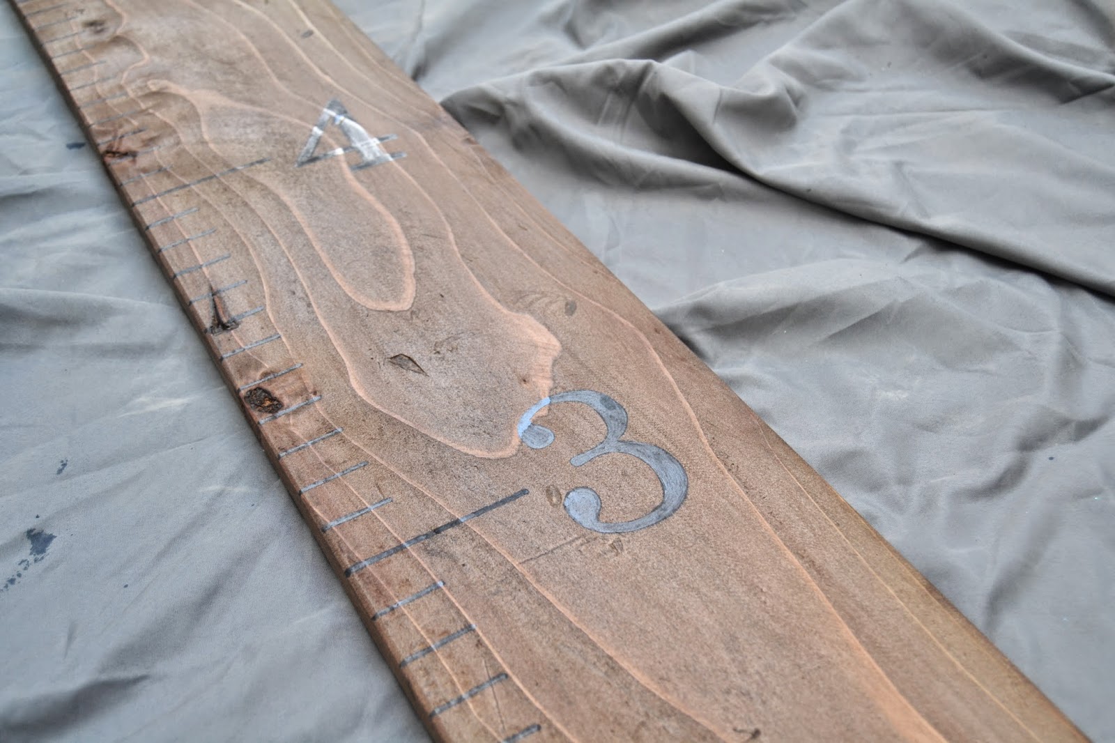 From Foothills to Fog: DIY Growth Ruler