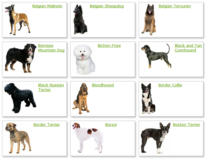 Dog Breeds List With Picture Dog Breeds Alphabetical
