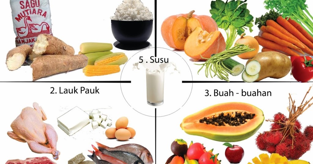 Soal essay pola makan sehat bergizi dan seimbang 07 picture