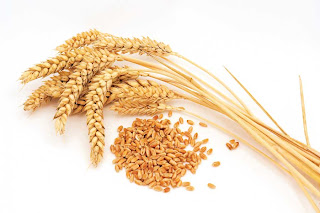 wheat Cholesterol lowering foods