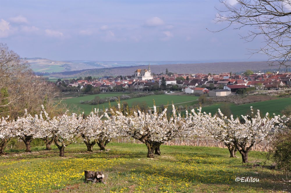 Autre vue sur Coulanges-la-Vineuse