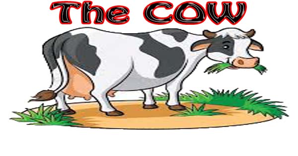 essay Essay Domestic Animal Cow @: PT3 ESSAY - INFORMAL LETTER - Kopitiam English