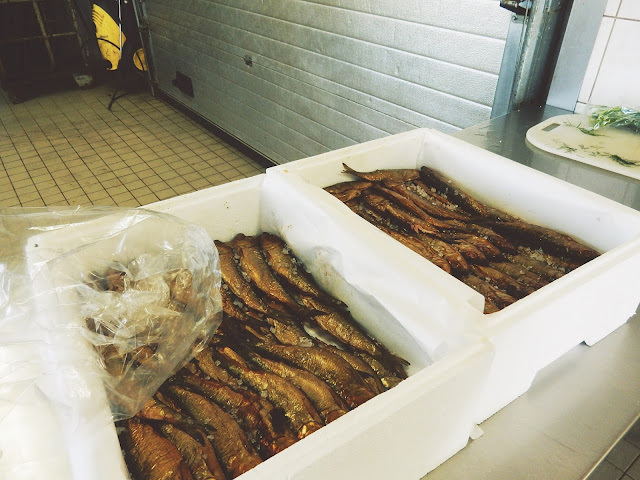 Vielä hiukan Merikarviaa