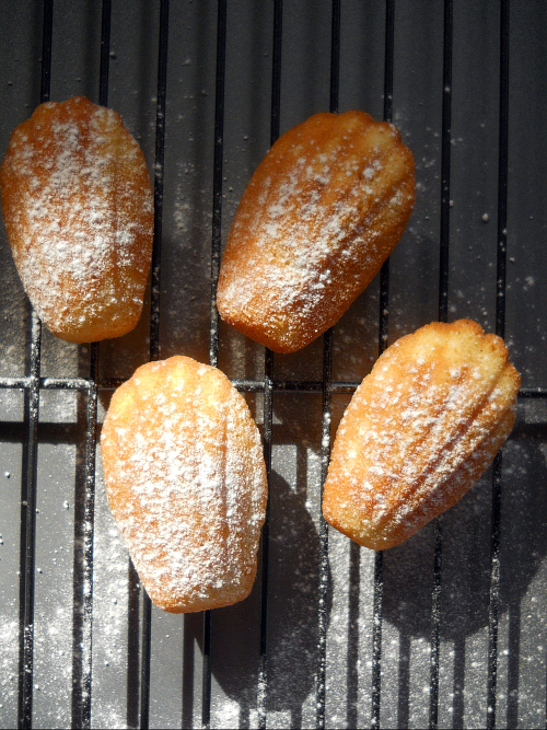 Teatime Recipe French Madeleines Sweet Tidings