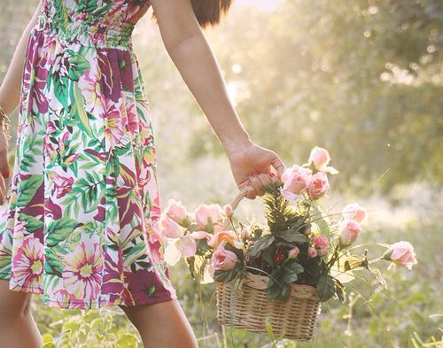 Resultado de imagem para flores de virtudes