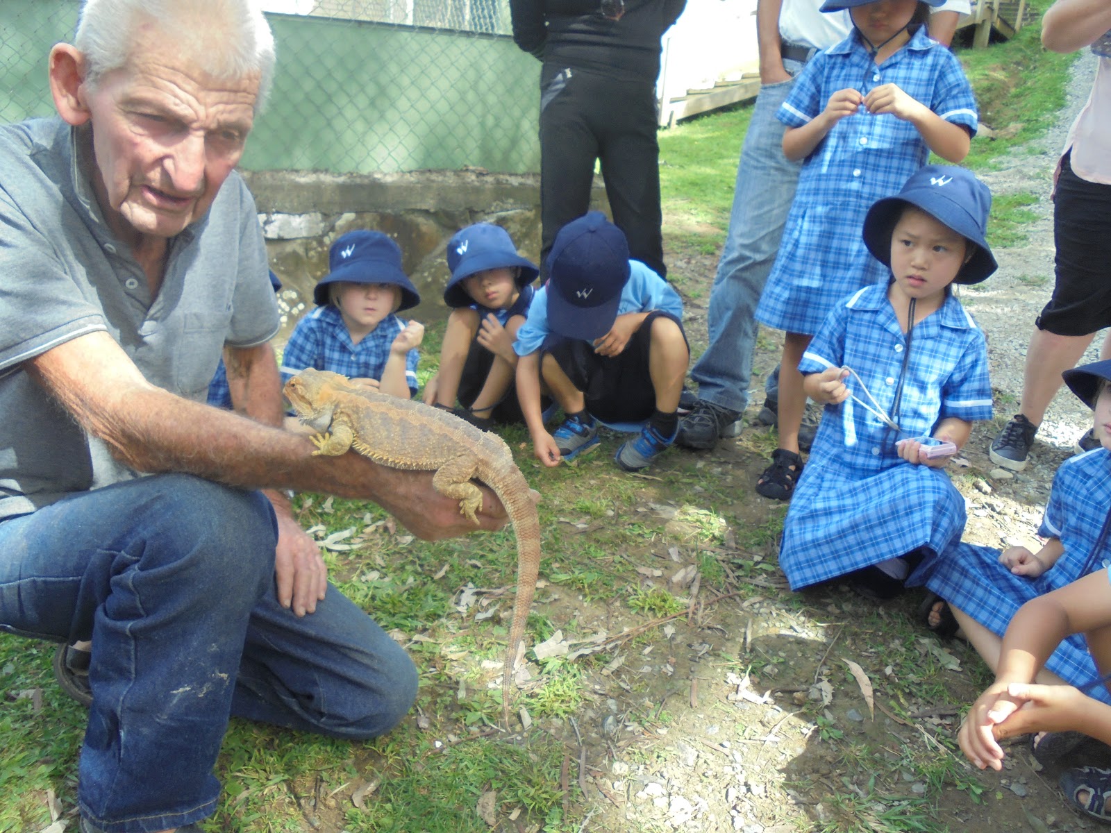 Wentworth Primary School Year2 Blog Ti Point Reptile Park