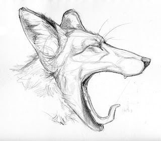 Art Kimistry: More Animal Drawings and Stuff