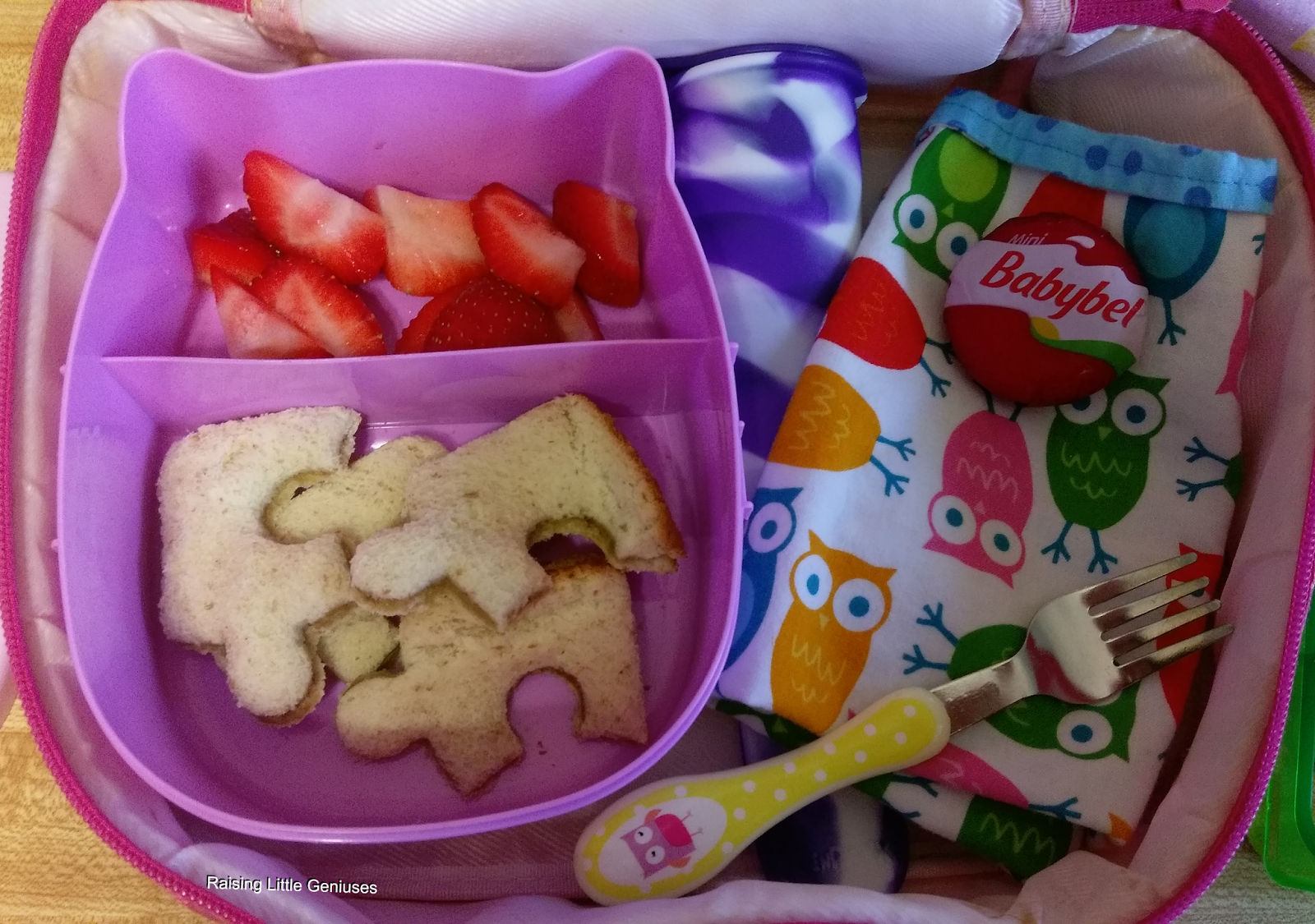 Raising Little Geniuses Picnic School Lunch