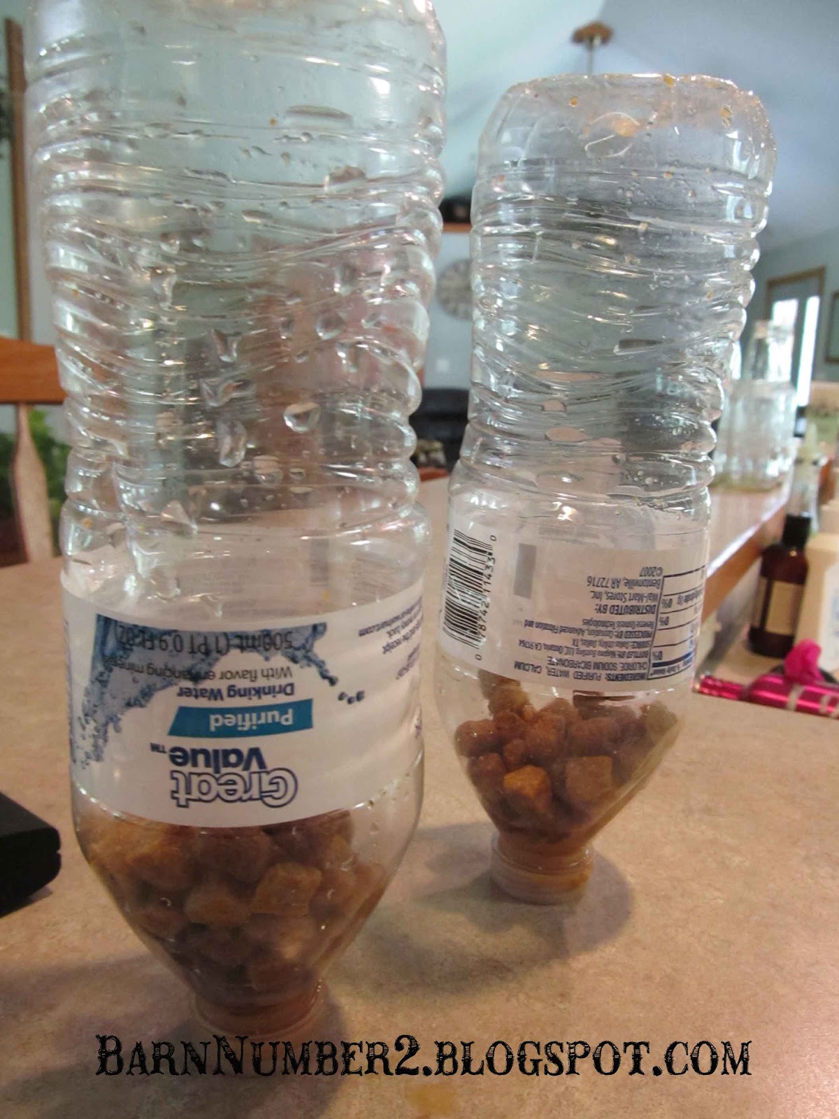 Homemade Dog Treats