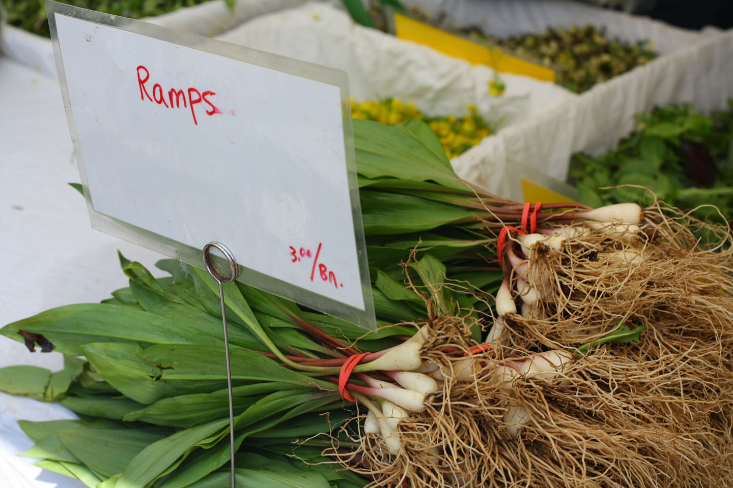 66 Square Feet (Plus) Union Square Farmers Market