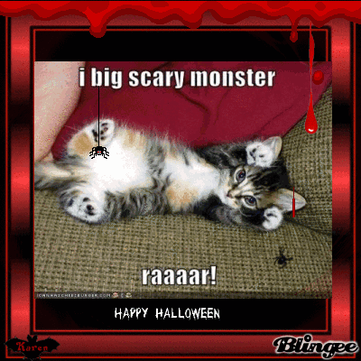 Funny Gag Gifts Top 10 Funny Cat Videos On Youtube