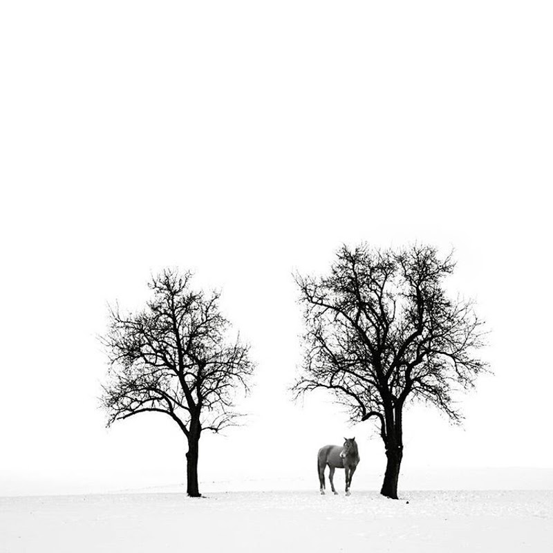 Nature by Minimalist Photographer Karin Hetzlinger from Austria.