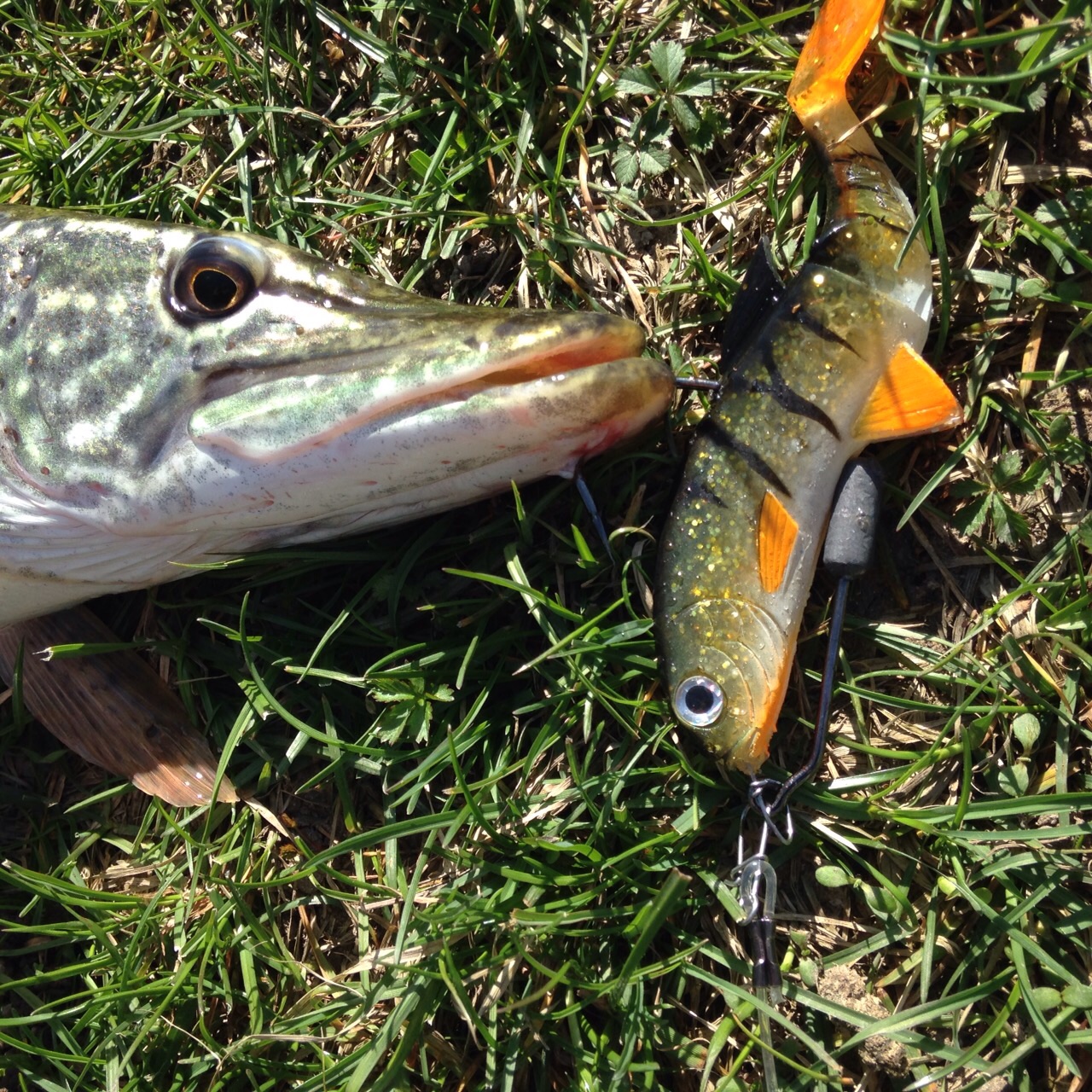 Esca Per Pesci Duel Luce Gioco Poppe - - Tutti I Sport Nautici - Foto 6