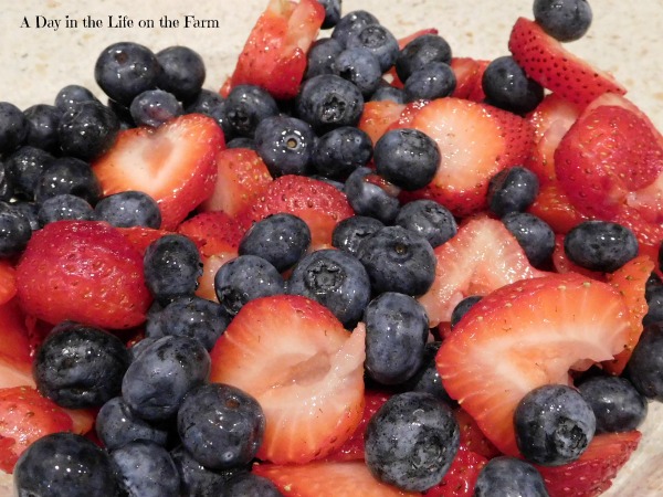 A Day in the Life on the Farm: One final recipe for #NationalBlueberryMonth